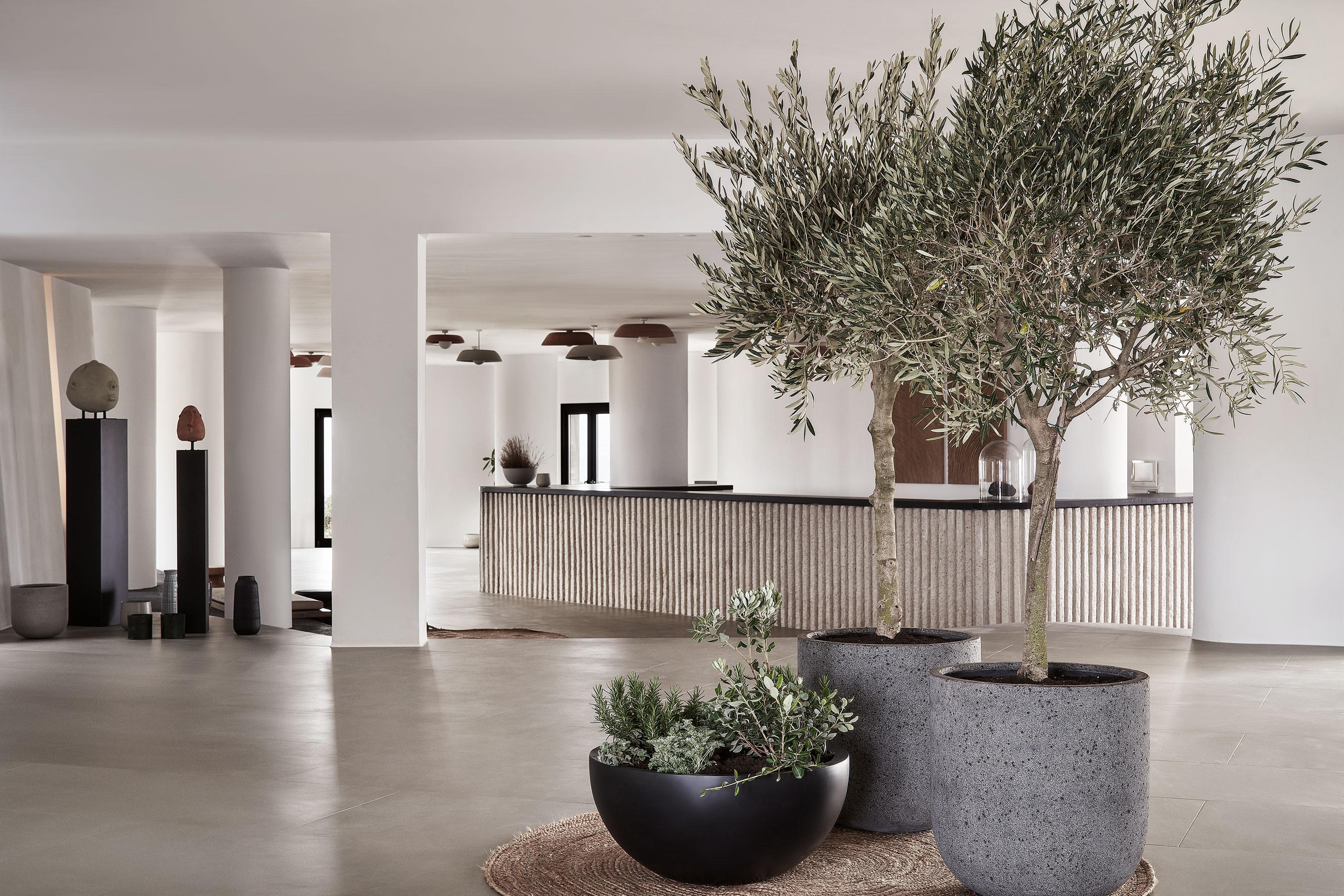 Orama Hotel & Spa Fira  Zewnętrze zdjęcie Interior of the hotel